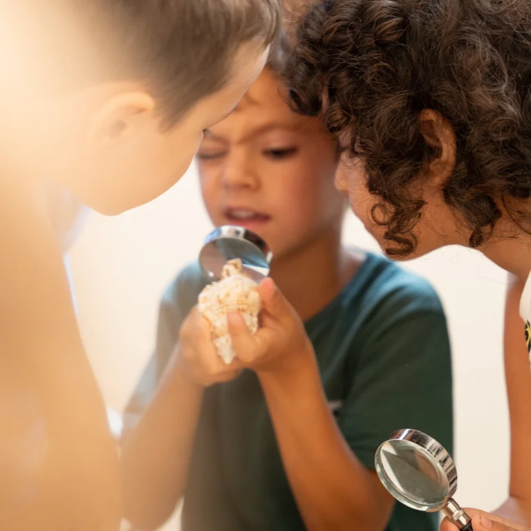 Children observing the snails