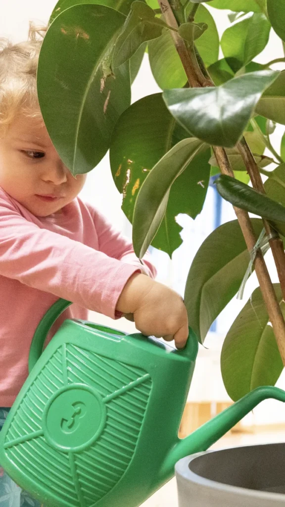 Caring for the Garden