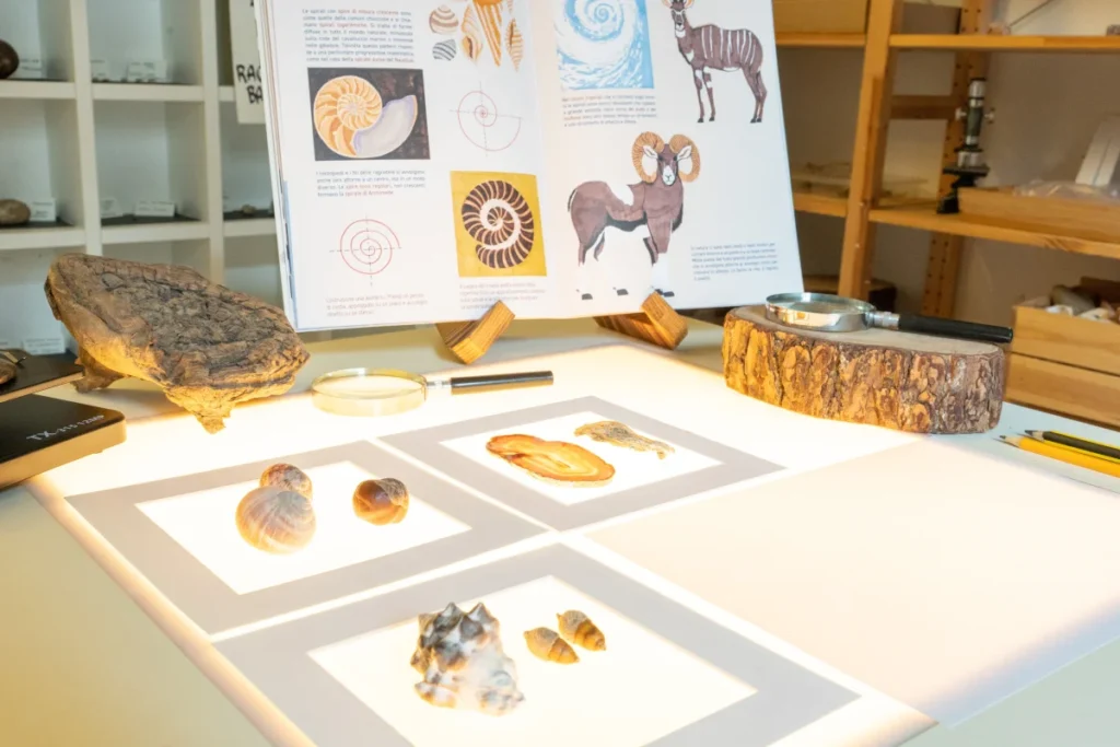 Science, art and nature atelier