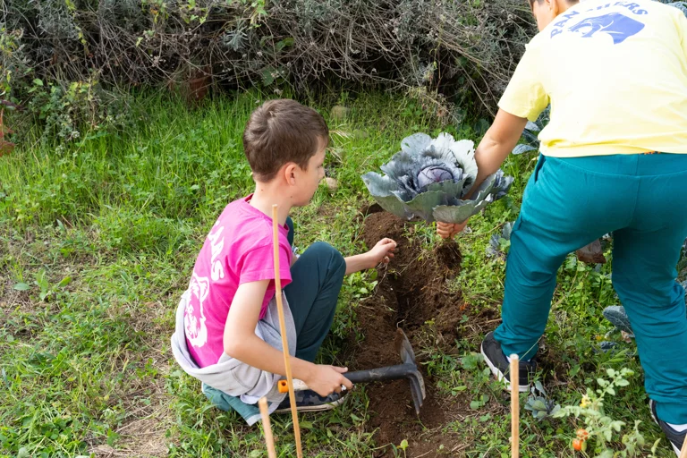OIS - Outdoor Education