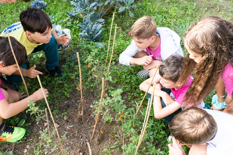 OIS - Middle School - Outdoor education
