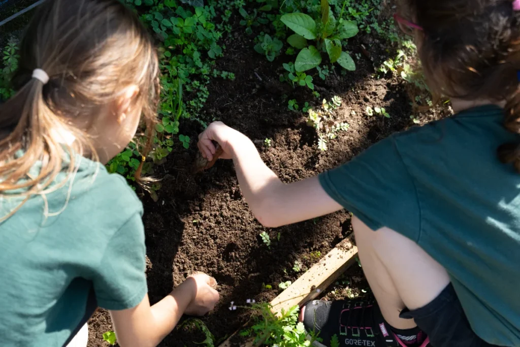 YIES School - Spazi all'aperto
